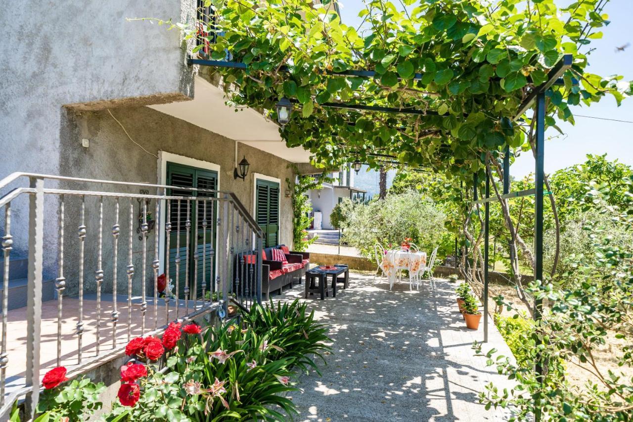 Apartment Laurel Leaf Lovorno Luaran gambar